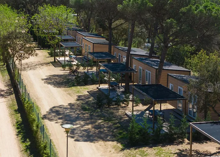 Parque de Campismo Ridaura *